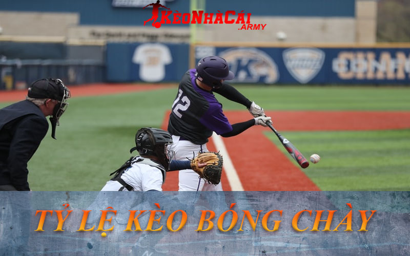 Hiểu hơn về tỷ lệ kèo bóng chày